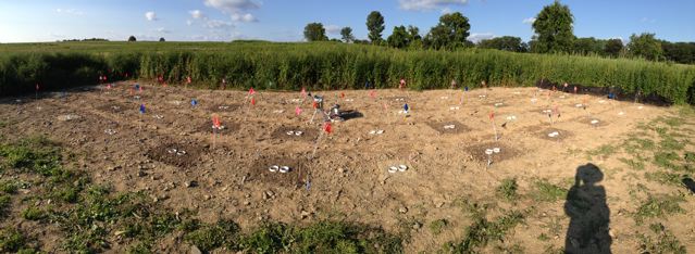 Field Site
