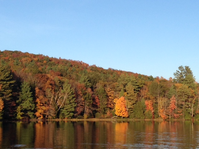 View of the lake (where I went swimming!) during our hike at Kate's place.