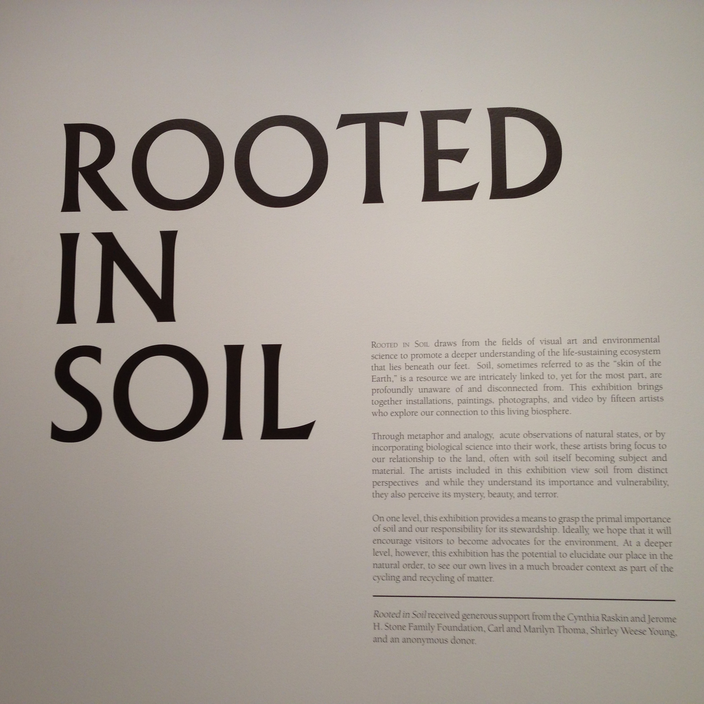 Rooted in Soil